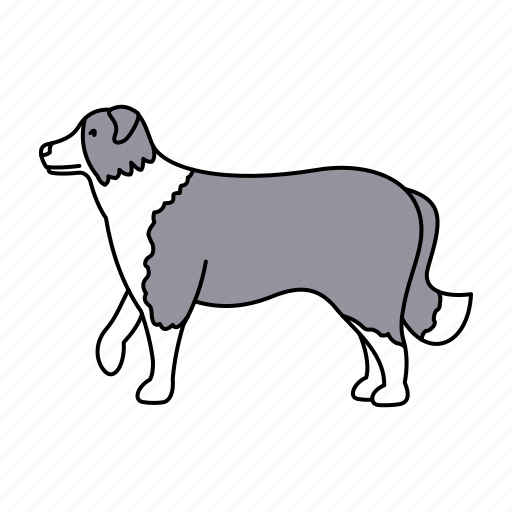 Animal, dog, pet, sheepdog icon - Download on Iconfinder