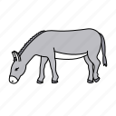 animal, ass, donkey, farm