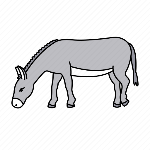 Animal, ass, donkey, farm icon - Download on Iconfinder