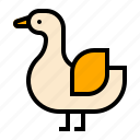 animal, duck