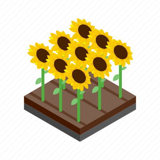 Flower, green, grow, isometric, summer, sunflower, yellow icon - Download on Iconfinder