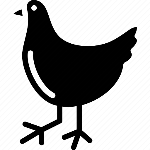 Bird, chicken, domestic bird, farm, hen icon - Download on Iconfinder