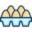 chicken egg, egg, egg carton, eggs, natural egg 