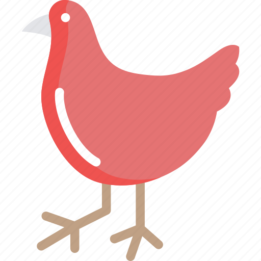 Bird, chicken, domestic bird, farm, hen icon - Download on Iconfinder
