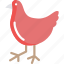 bird, chicken, domestic bird, farm, hen 