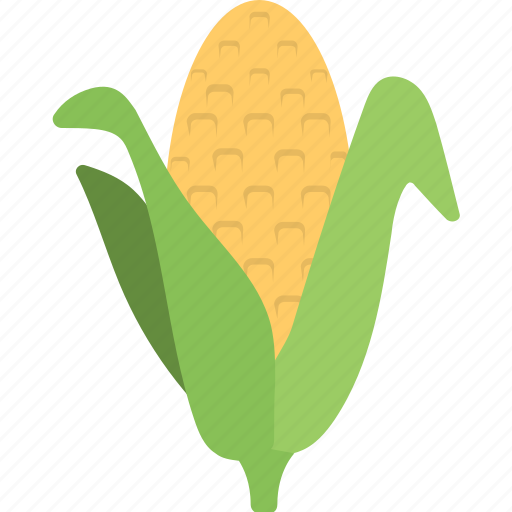 Agriculture, corn cob, corn stalk, farming, maize icon - Download on Iconfinder