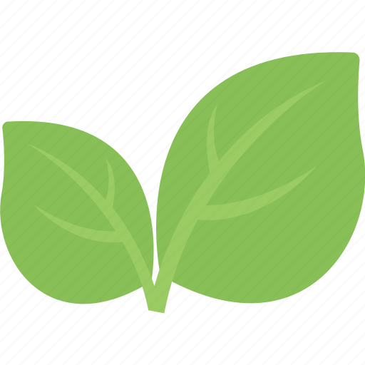 Agriculture, greenery, growing plant, leaf branch, leaves icon - Download on Iconfinder