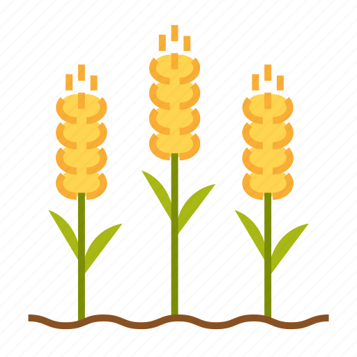 Agriculture, farm, grain, wheat, rice, plant, field icon - Download on Iconfinder