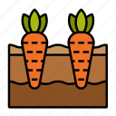 carrot, farm, garden, agriculture, harvest, farming, growing