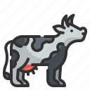 cow, beef, mammal, cattle, animal 