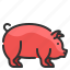 pig, pork, zoo, zodiac, animal 