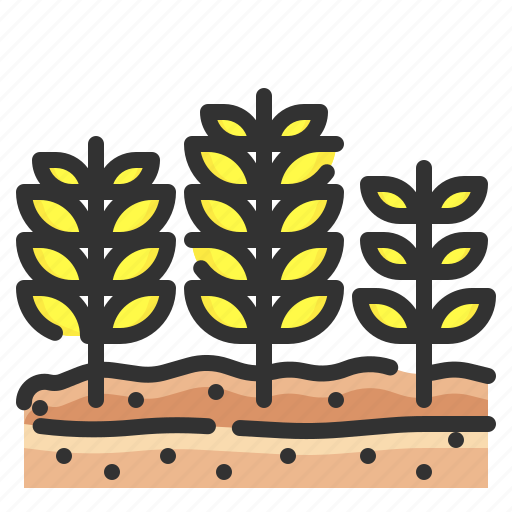 Wheat, cereal, rice, seeds, grain icon - Download on Iconfinder