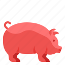 pig, pork, zoo, zodiac, animal
