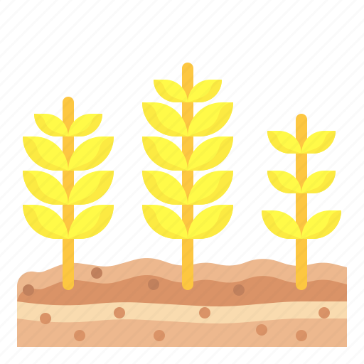 Wheat, cereal, rice, seeds, grain icon - Download on Iconfinder