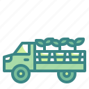 truck, pickup, cargo, transportation, vehicle 