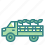 truck, pickup, cargo, transportation, vehicle 