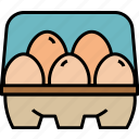 eggs, farm, food, egg, carton, farming, protein, dozen