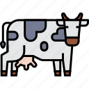 cow, cattle, farm, milk, farming, livestock, agriculture