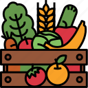 harvest, farm, farming, food, healthy, vegetables, fruits