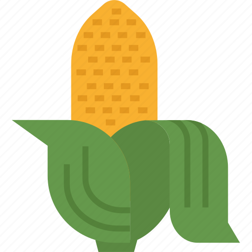 Corn, creal, food, vegetarian, cereal, farm, vegetables icon - Download on Iconfinder