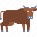 beef, food, meat, farm, farming, livestock, animal, agriculture