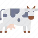 cow, cattle, farm, milk, animal, farming, livestock