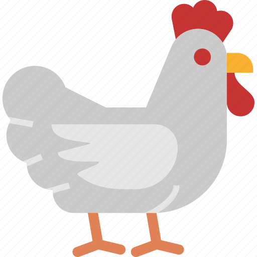 Chicken, farm, rooster, animal, farming, livestock, agriculture icon - Download on Iconfinder