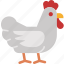 chicken, farm, rooster, animal, farming, livestock, agriculture 
