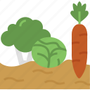 vegetables, food, organic, vegetable, plant, soil, farm, gardening, farming, agriculture