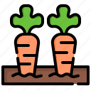 carrots, vegetables, organic, healthy, food, and, restaurant
