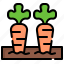 carrots, vegetables, organic, healthy, food, and, restaurant 
