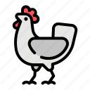 farm, farming, farmer, hen, chicken, rooster, egg
