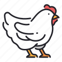 animal, chicken, farm, food, hen, meat, poultry