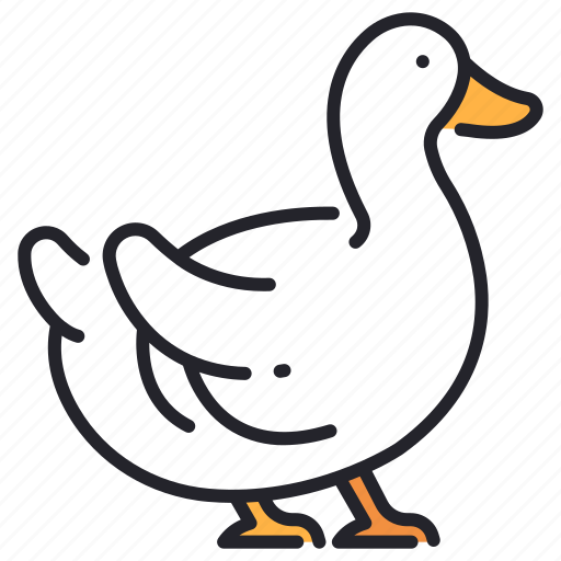 Agriculture, animal, beak, duck, duckling, farm, feather icon - Download on Iconfinder