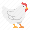 animal, chicken, farm, food, hen, meat, poultry