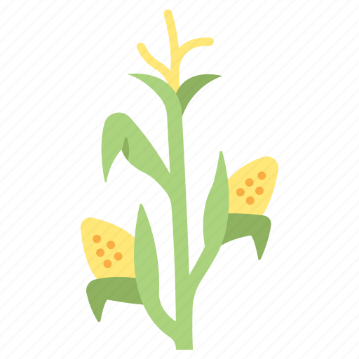 Agriculture, cob, corn, food, maize, plant, vegetable icon - Download on Iconfinder