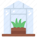 greenhouse, grass, agriculture, farm, growing