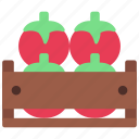 tomato, crate, agriculture, tomatos, vegetables