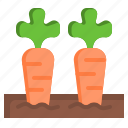 carrots, vegetables, organic, healthy, food, and, restaurant