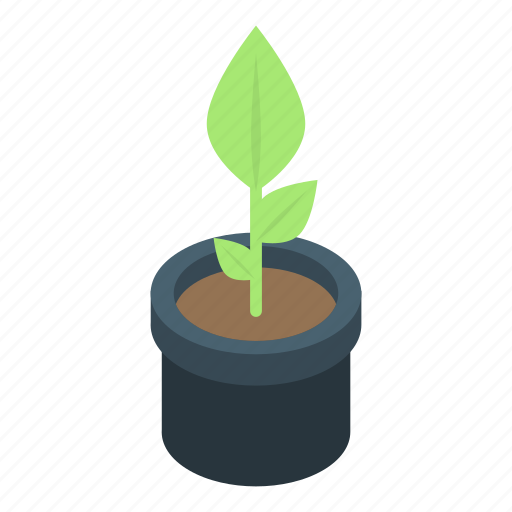 Cartoon, floral, flower, hand, houseplant, isometric, tree icon - Download on Iconfinder