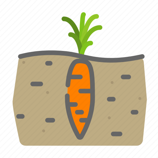 Beverages, carrots, farming, food, groceries, soil icon - Download on Iconfinder