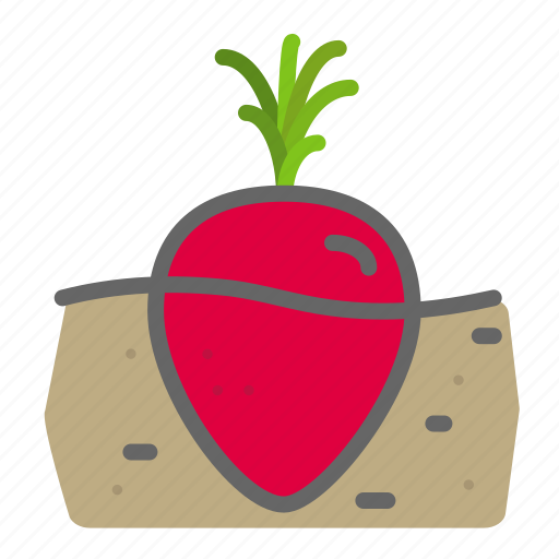 Food, garden, groceries, leaves, soil, turnip, vegetable icon - Download on Iconfinder