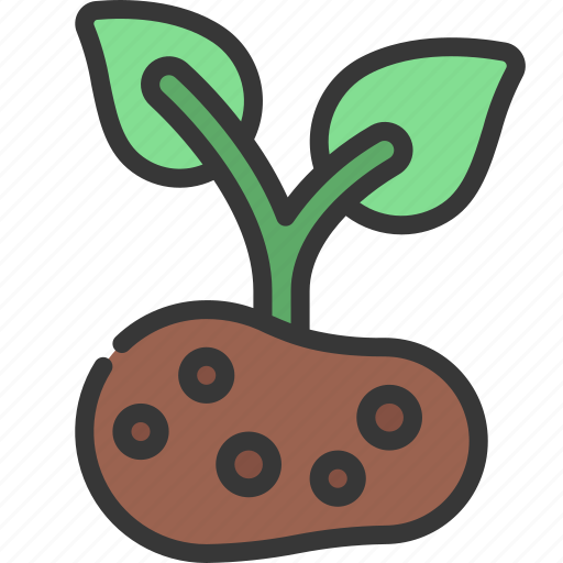 Grow, potato, agriculture, farm, food icon - Download on Iconfinder