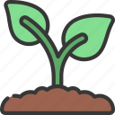 growing, plant, agriculture, farm, growth