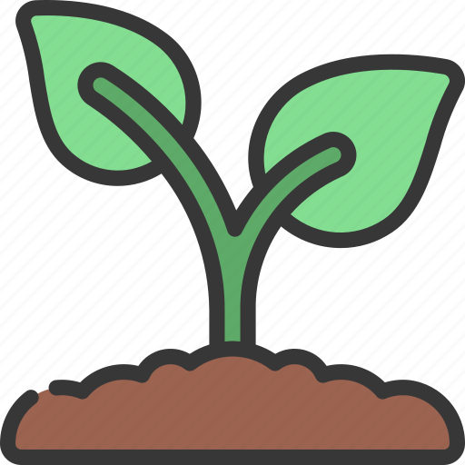 Growing, plant, agriculture, farm, growth icon - Download on Iconfinder