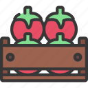 tomato, crate, agriculture, tomatos, vegetables