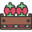 tomato, crate, agriculture, tomatos, vegetables 