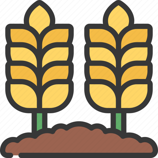 Wheat, field, agriculture, farm, fields icon - Download on Iconfinder