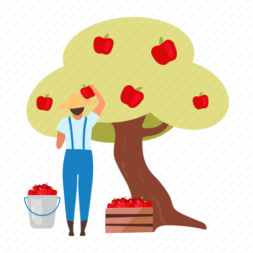 Male, farmer, harvest, fruits, apple tree illustration - Download on Iconfinder