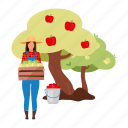 female, farmer, carrying, ripe apples, crate 